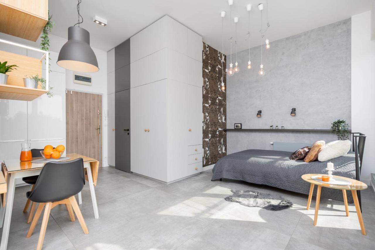 Loft Krakov