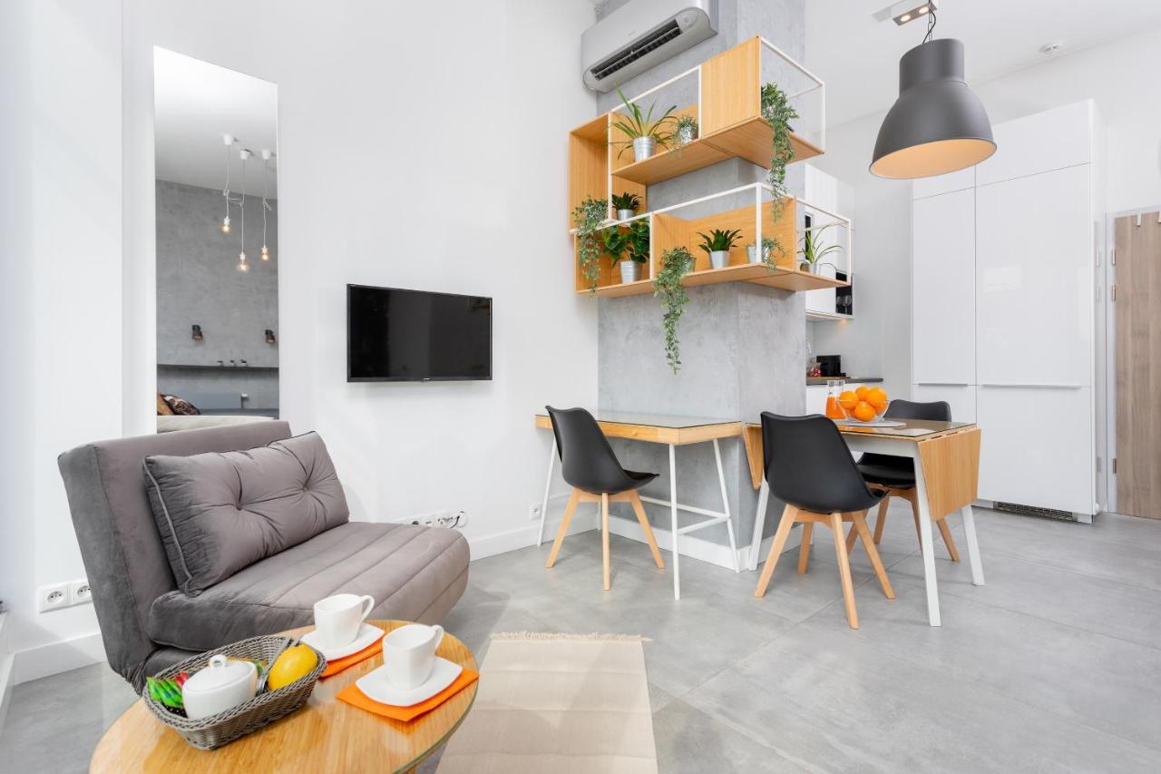 Apartmán Loft Krakov