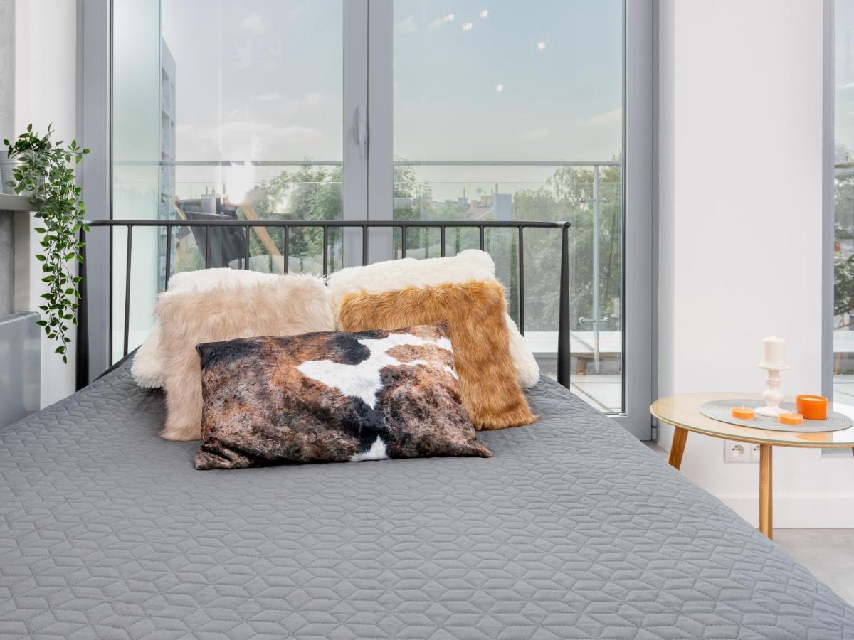 Loft Krakov